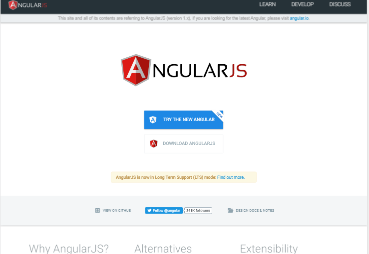 Angular JS Development