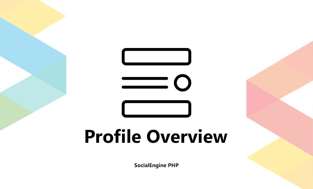  Profile Overview for SocialEngine      